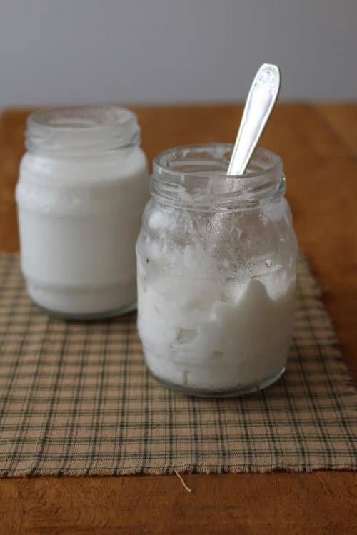 Iogurte de leite de coco