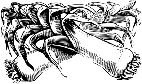 Alho poró