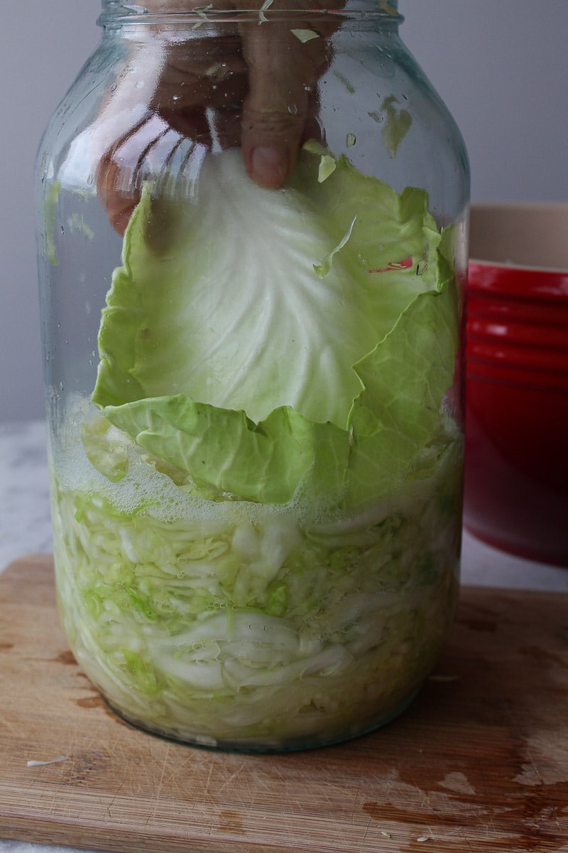 Chucrute ou repolho fermentado