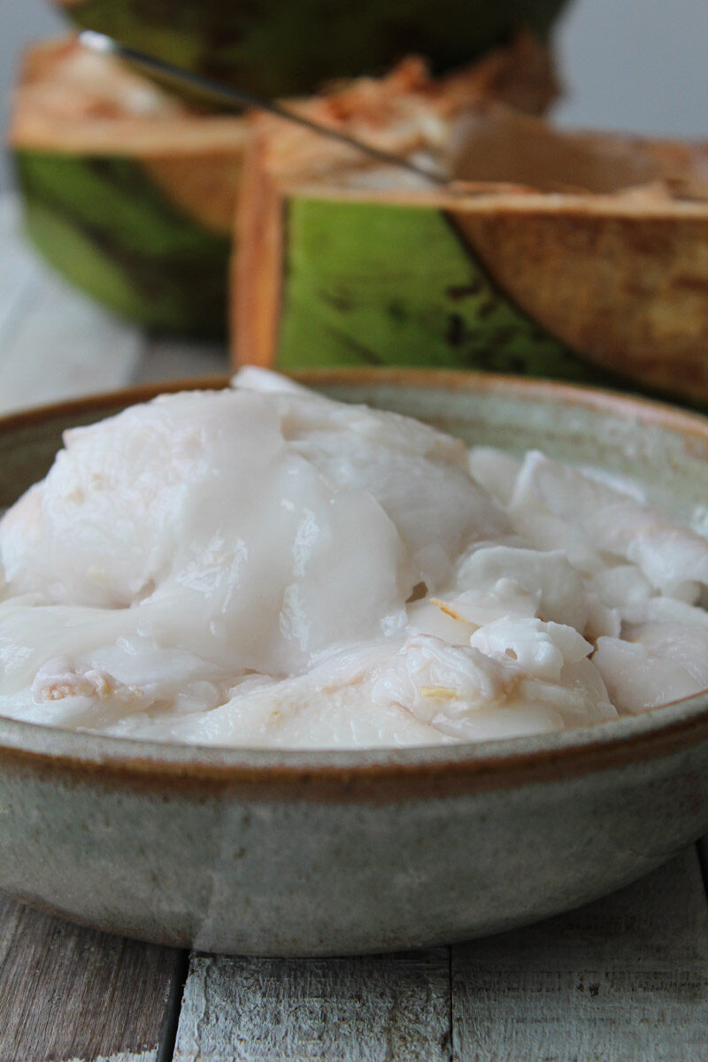 Iogurte de polpa de coco