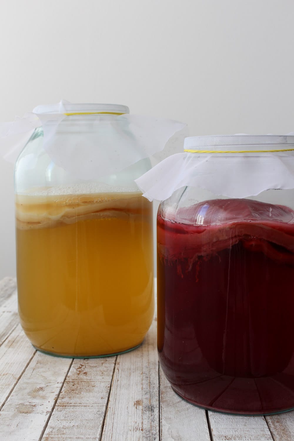 Kombucha