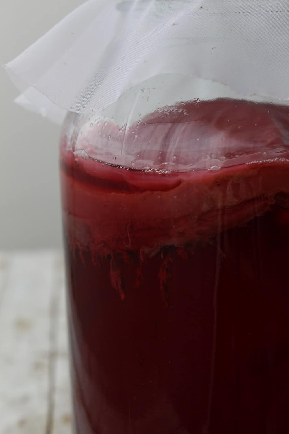 Kombucha - o que é e como preparar - Santo Legume