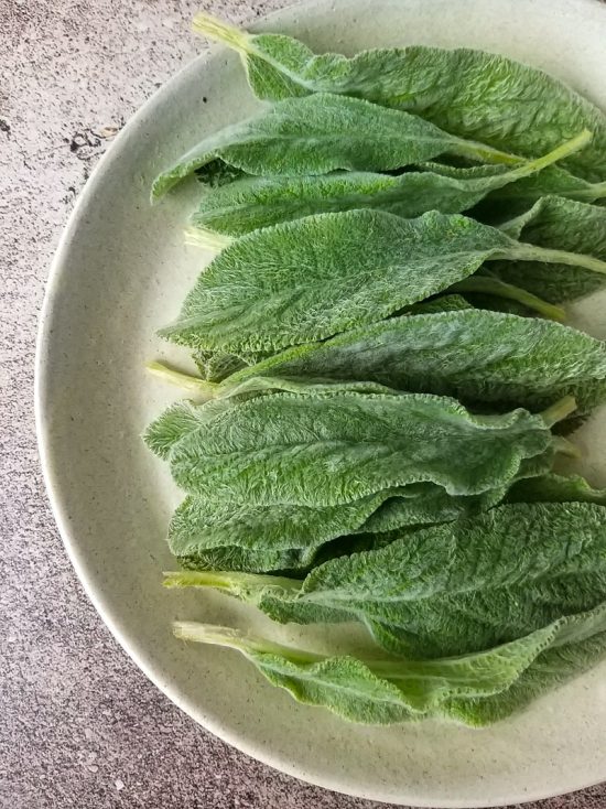 Peixinho da horta
