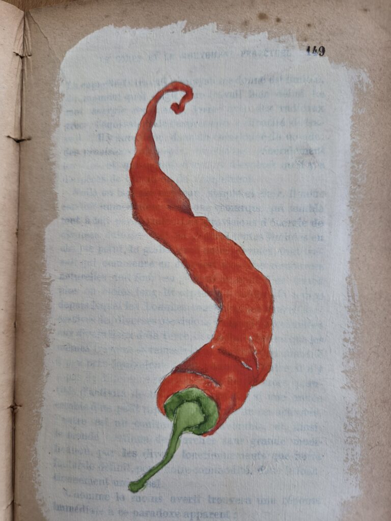 Pimenta